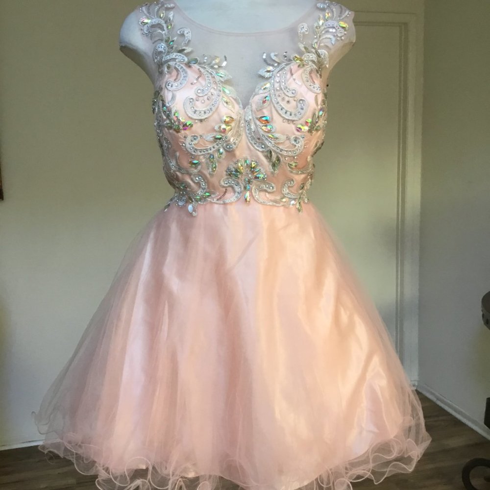 DANCING QUEEN Embroidered Bodice Short Sleeve Ball Gown Formal, Prom Blush XL Jr